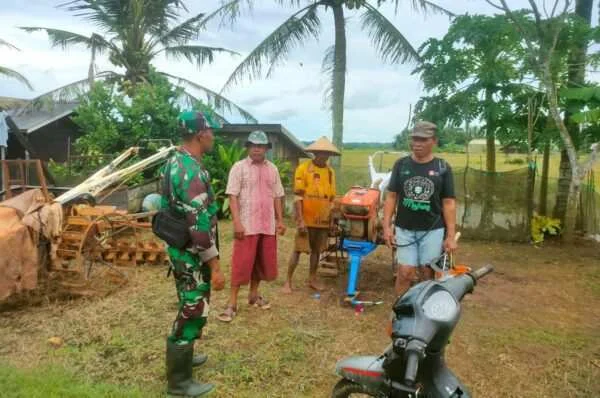 Wujudkan Kemanunggalan TNI Dengan Rakyat, Babinsa Komsos Bersama Petani
