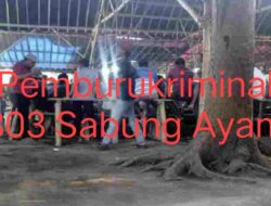 Karangtalun Darurat Judi: Bandar Sabung Ayam Inisial TP Kebal Hukum?