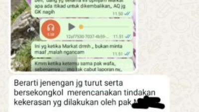 Langgar Pasal 27, 29, dan 311: MN Terancam Denda Miliaran dan Bui 12 Tahun