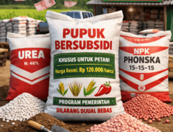 Kios Nakal Jual Pupuk Bersubsidi Rp400 Ribu per Kuintal di Tirtoyudo, Diduga Kebal Hukum