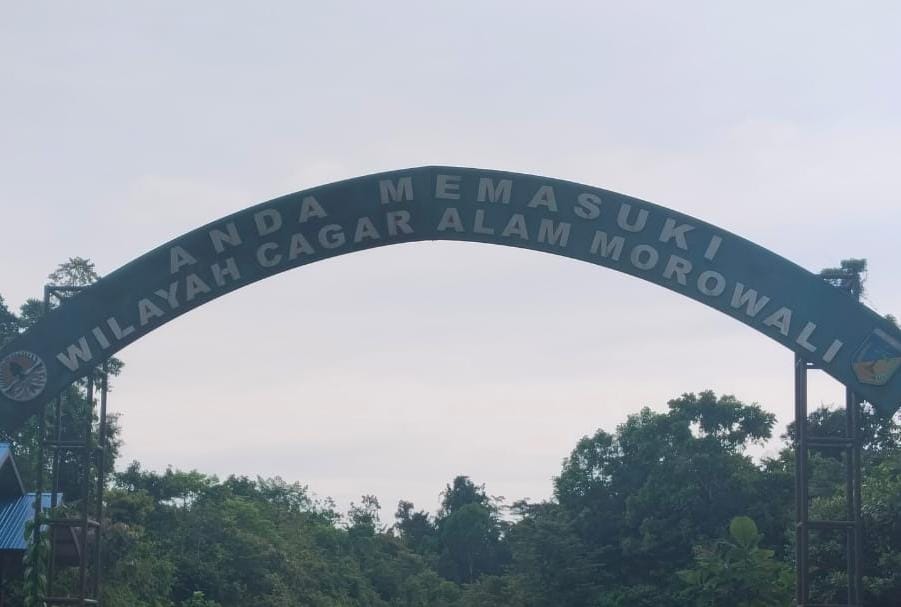 Dugaan Diskriminasi Penindakan Kayu, BKSDA Morut Diminta Evaluasi