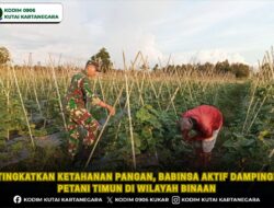 Tingkatkan Ketahanan Pangan, Babinsa Aktif Dampingi Petani Timun di Wilayah Binaan
